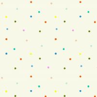 dsStella-DFG3623 Egret